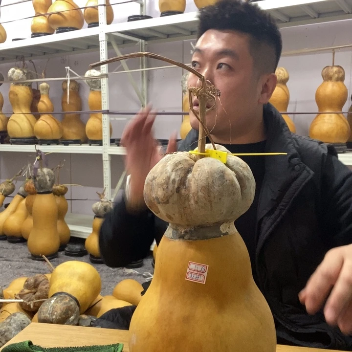 ****葫芦葫芦葫芦葫芦