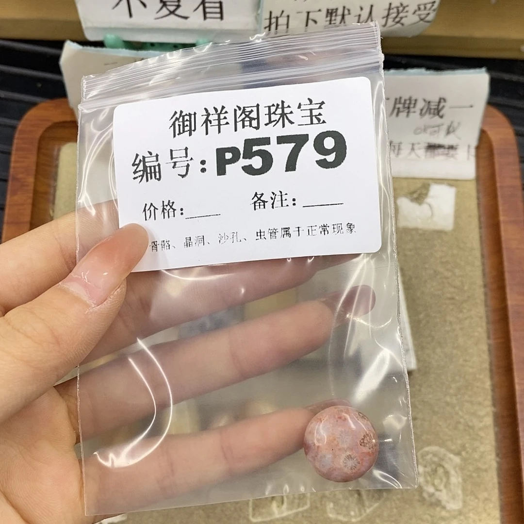 硅化珊瑚（珊瑚玉）未镶嵌颈饰?****e