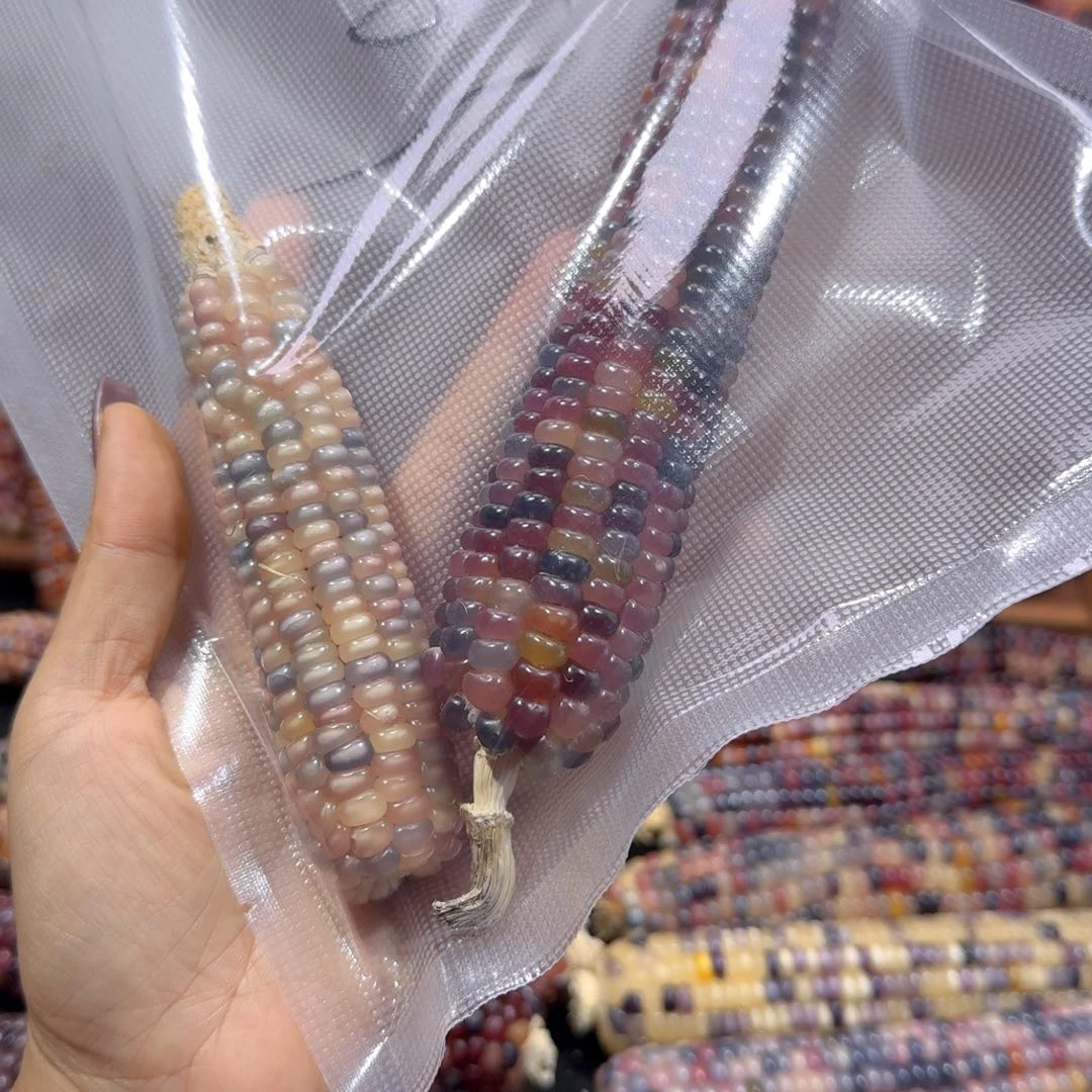 有机玻璃我是谁我在哪123456