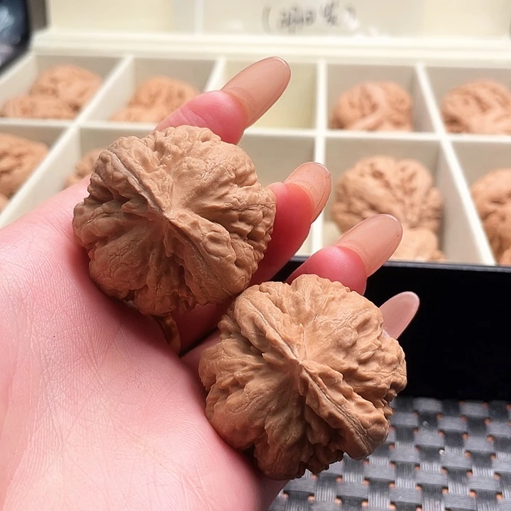 霸王龙核桃尺寸38