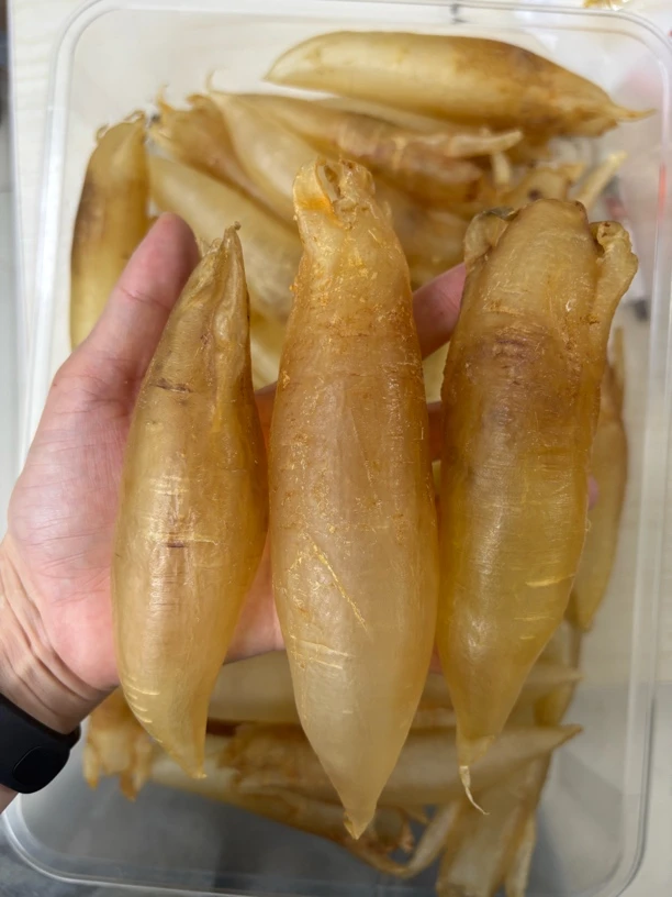 北海胶 苏里南 正北海 厚肉胶质多腥味低