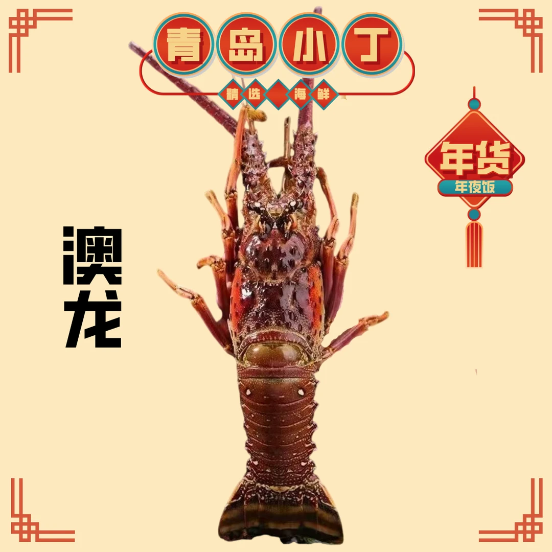 【青岛小丁精选年货】澳龙古巴龙虾 鲜活速冻3.5-4斤/只 年夜饭送礼