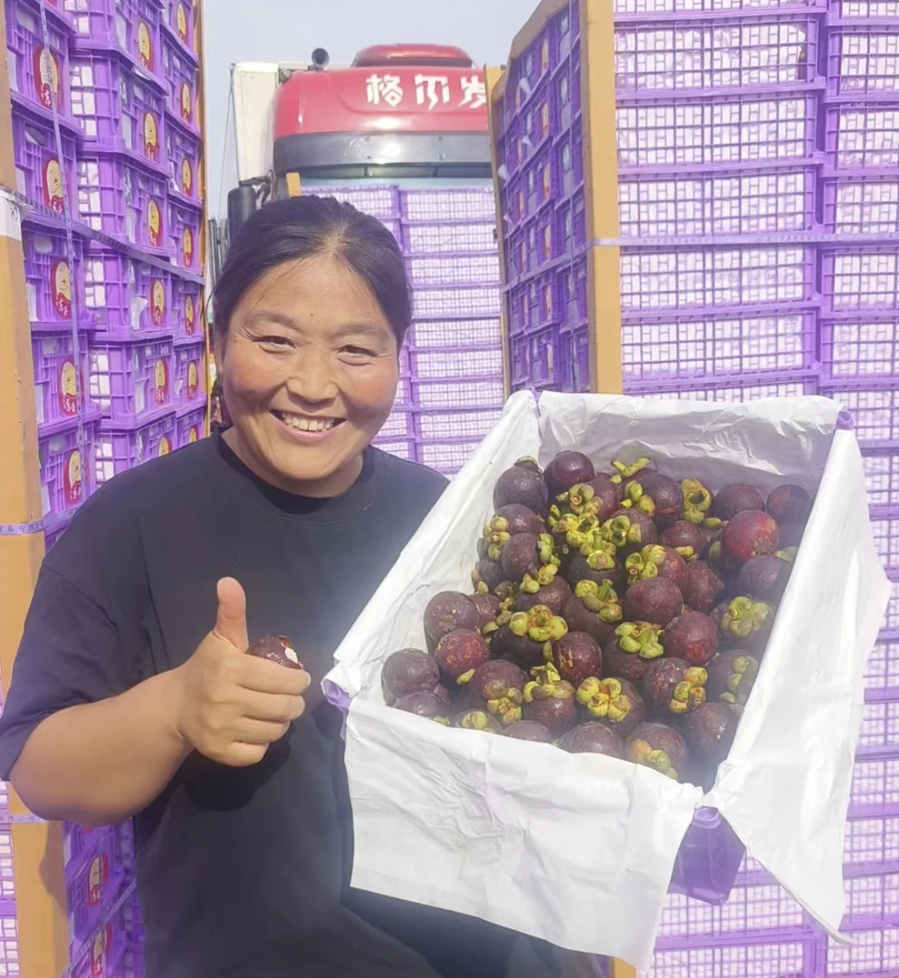 【旭宝传媒专属】  新鲜山竹大果壳丑肉好清甜坏果包赔包邮