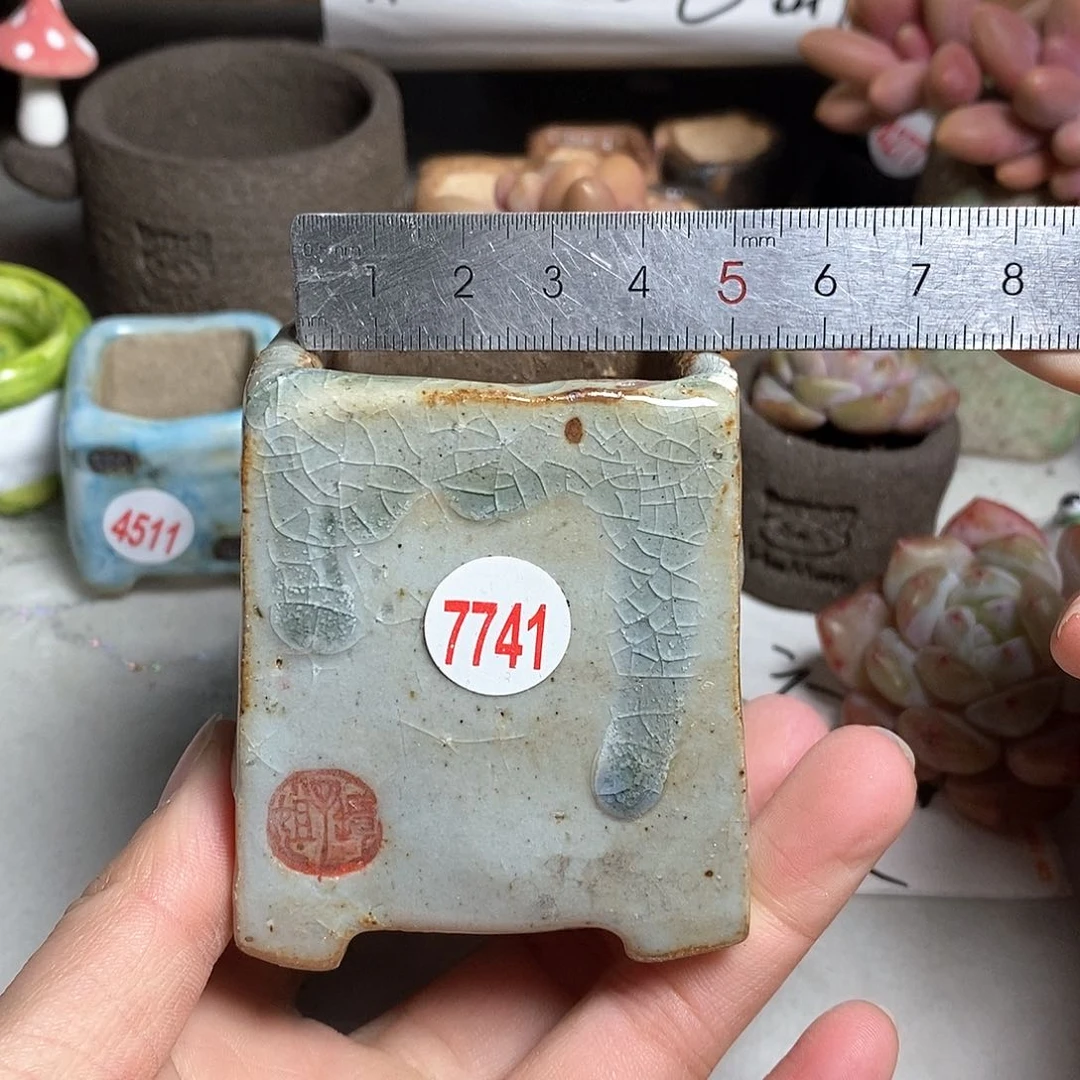 红陶拍5送一个小，处理