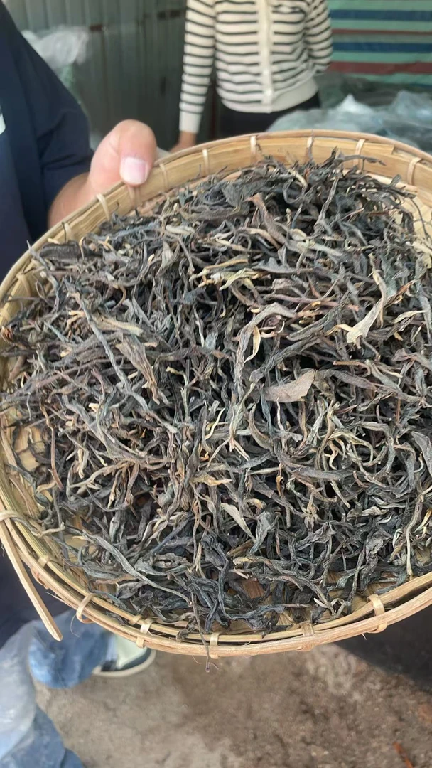 古树散茶18年老班章珍藏茶祖古树单株P111SDA8829SY10-777