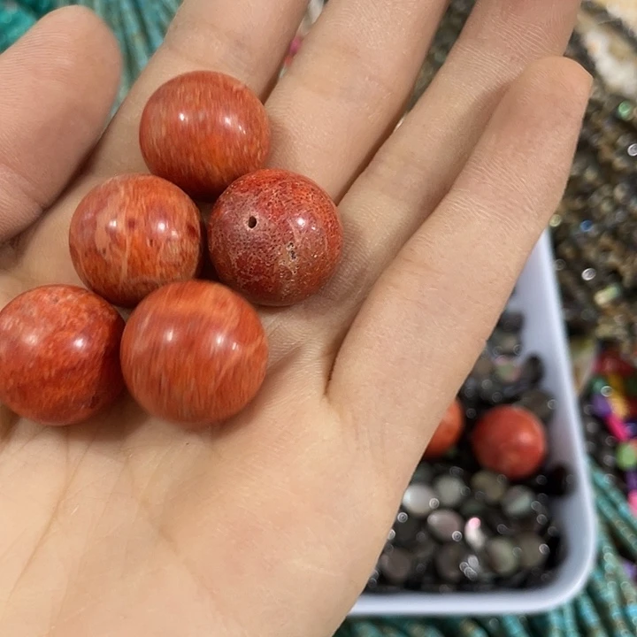 贝壳非金属一颗18mm原枝