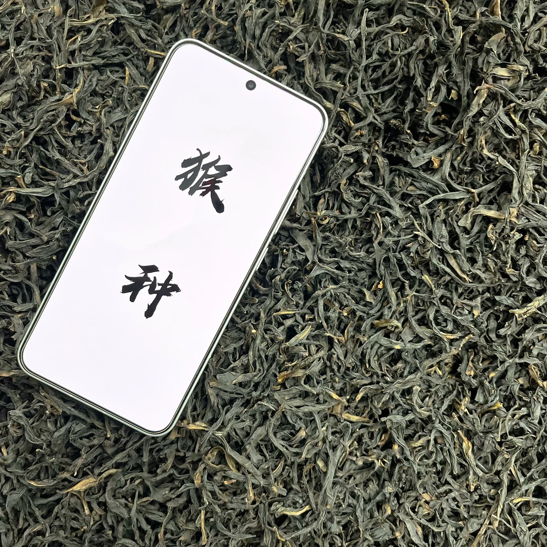 潮州凤凰单丛茶正春【猴种】清甜顺滑留香功夫茶叶
