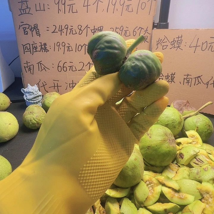 小异性，不保任和东西