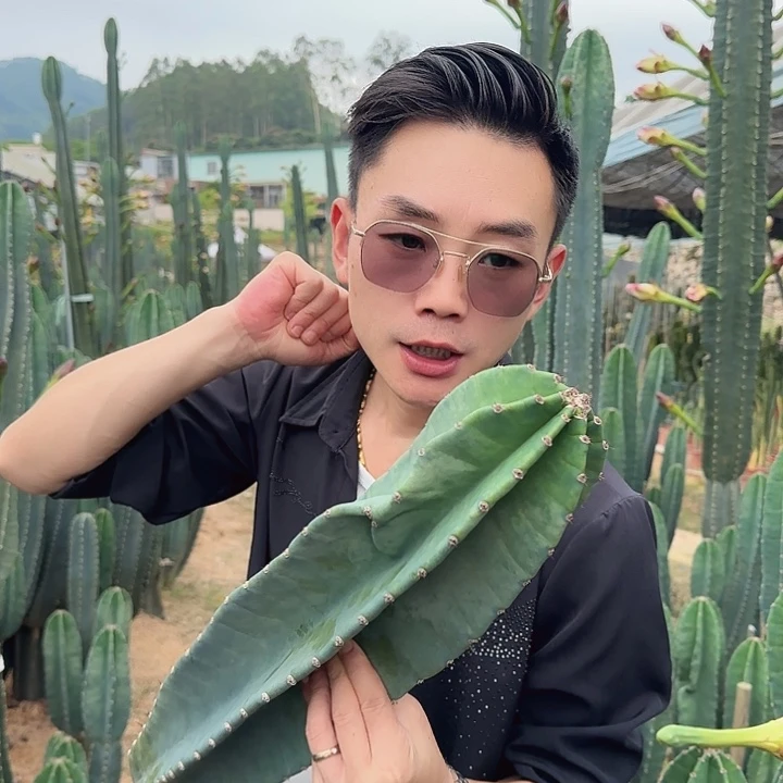 量天尺40cm无根111111111