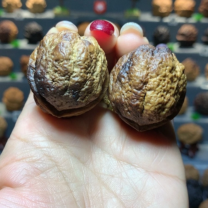 吊坠文玩核桃花彩蝴蝶30号