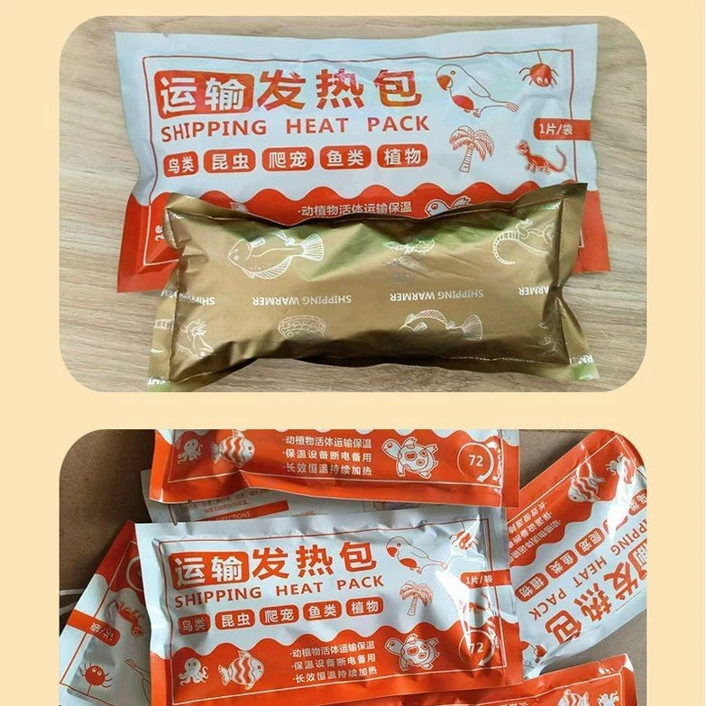 下单必拍金丝熊装备运输加热包