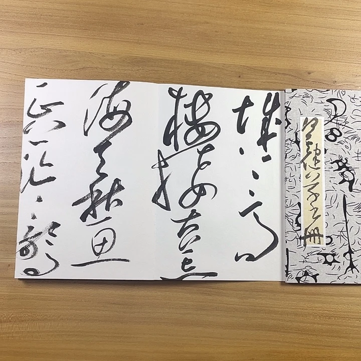 书法中书协会员作品