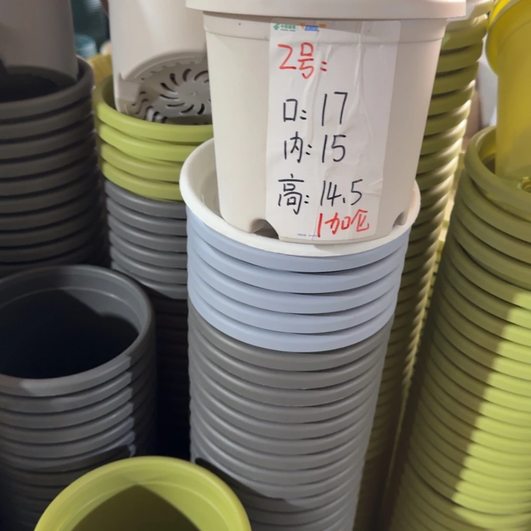 四季2#口径17无拖灰白6个