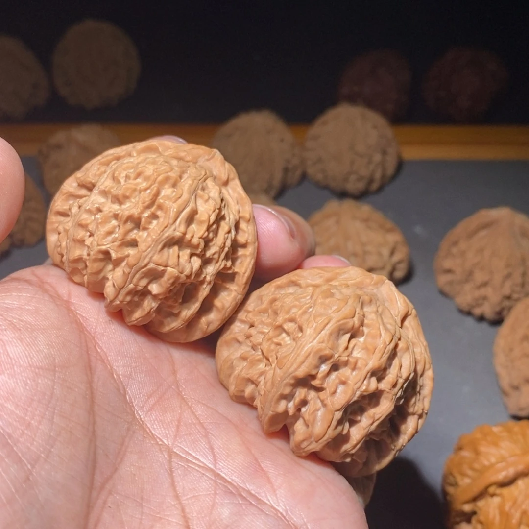 核桃42山西三角白全品