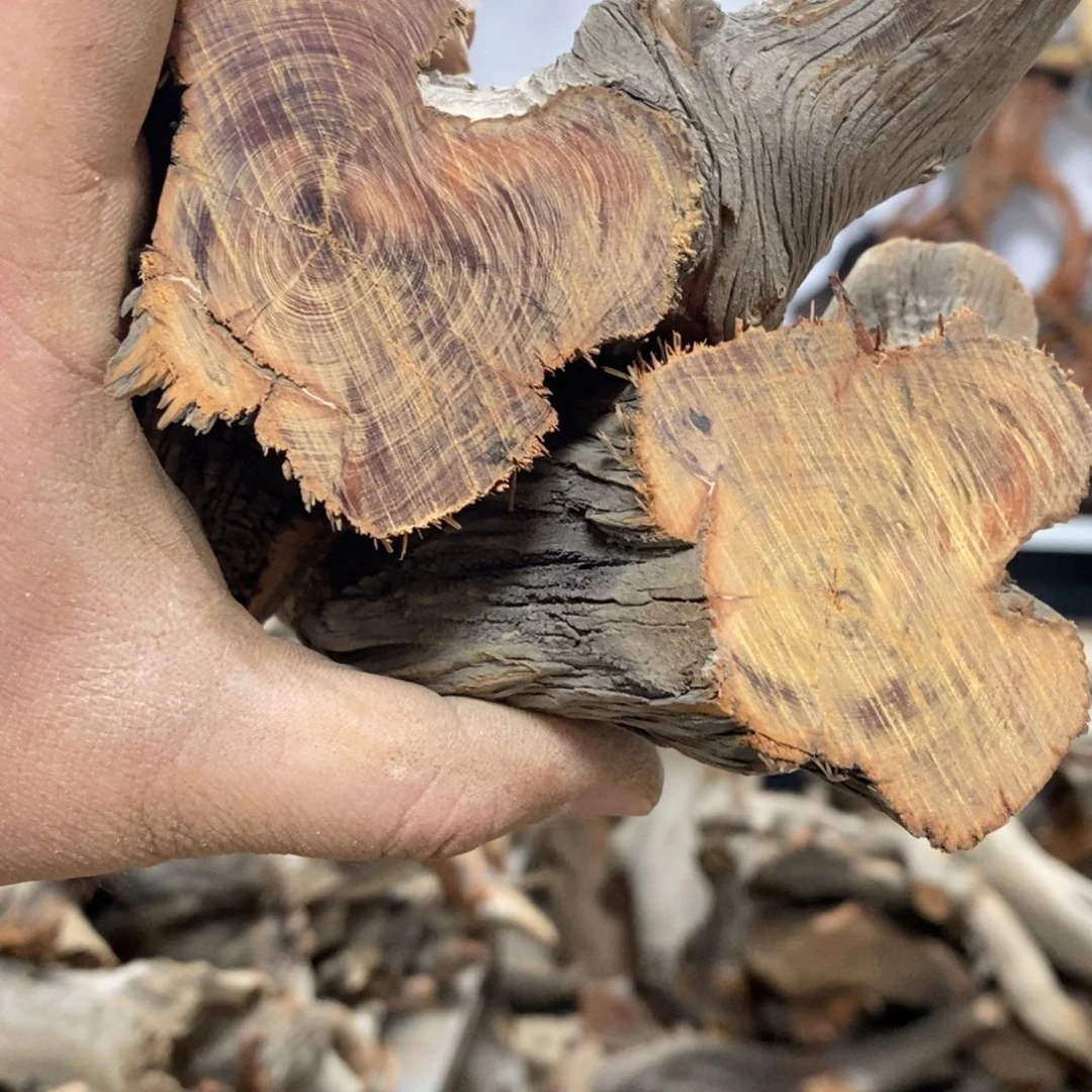 柏木云*我们都是好孩子