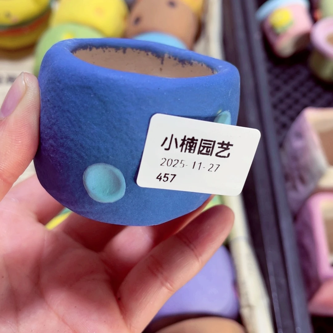 ～***～457号带盆包邮发货