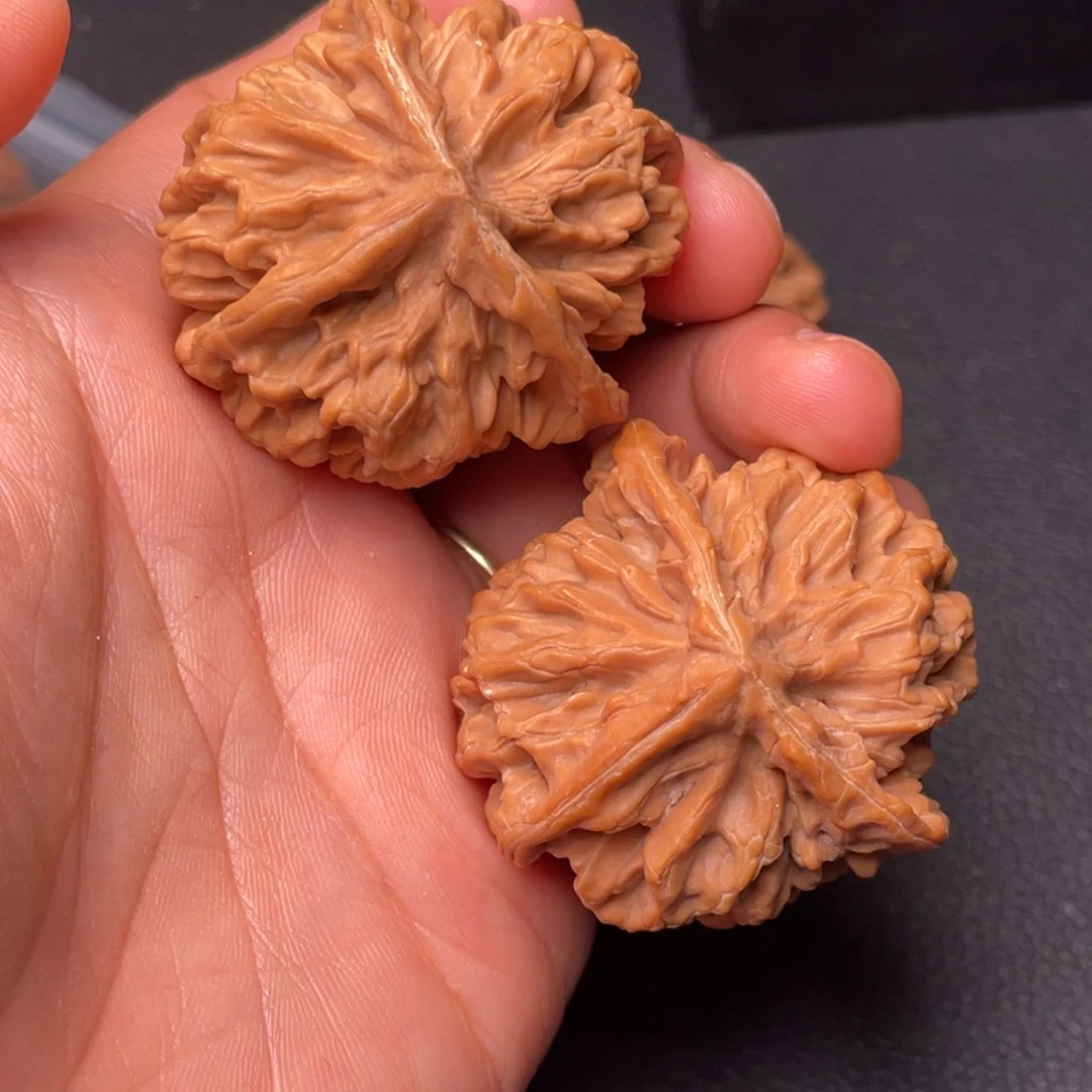 把件文玩核桃秦岭山脉和黄土高原