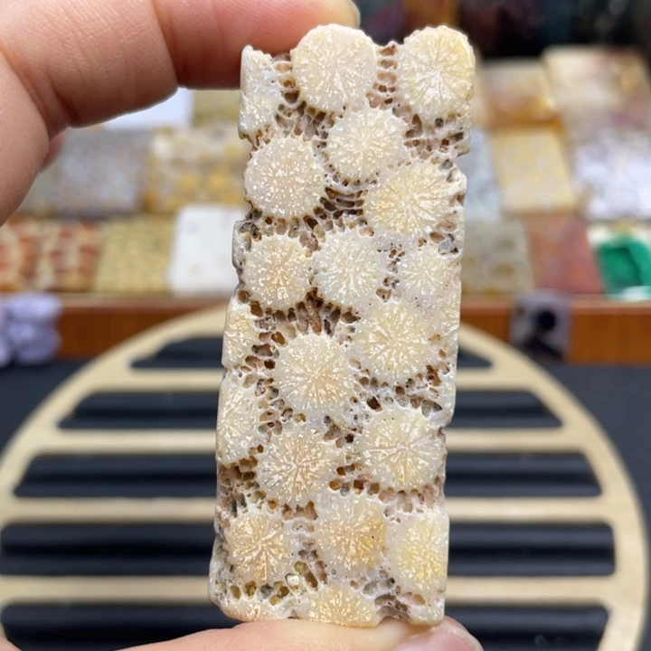 硅化玉未镶嵌颈饰k92