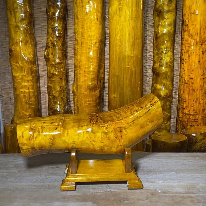 金丝楠昊*四川雅安小叶桢楠