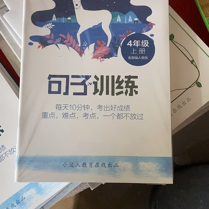 句子训练四年级五年级六年级全套