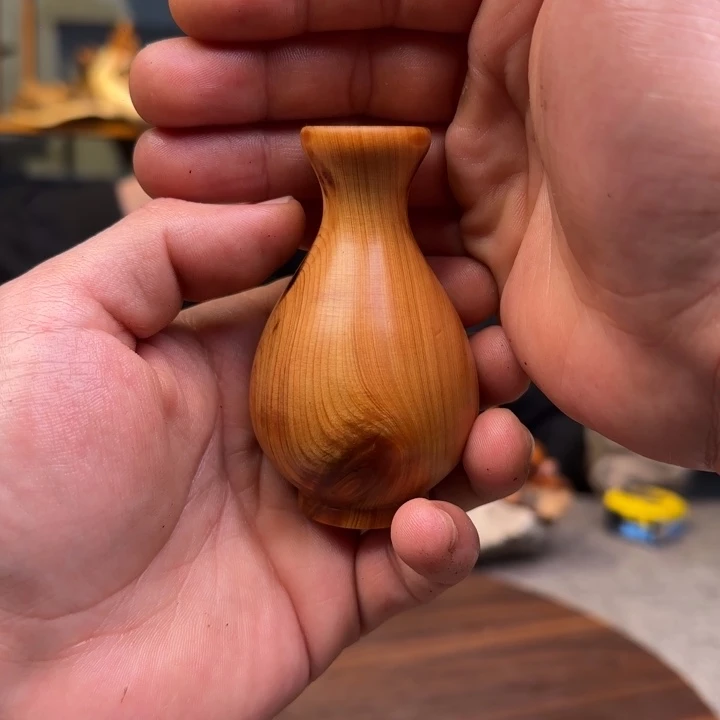 柏木（崖柏）关注一下