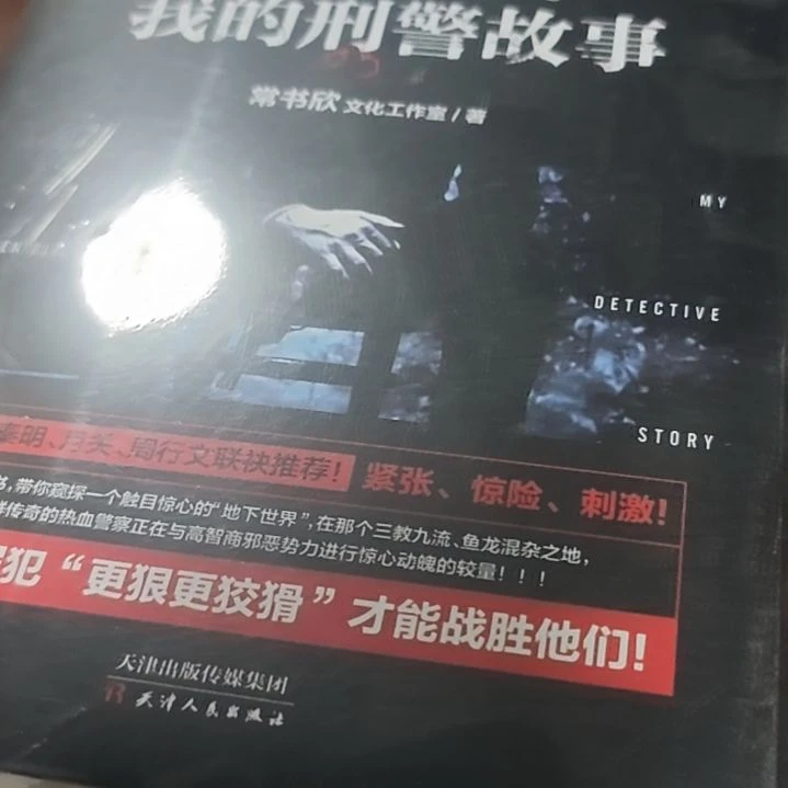 我的刑警故事平装库存书