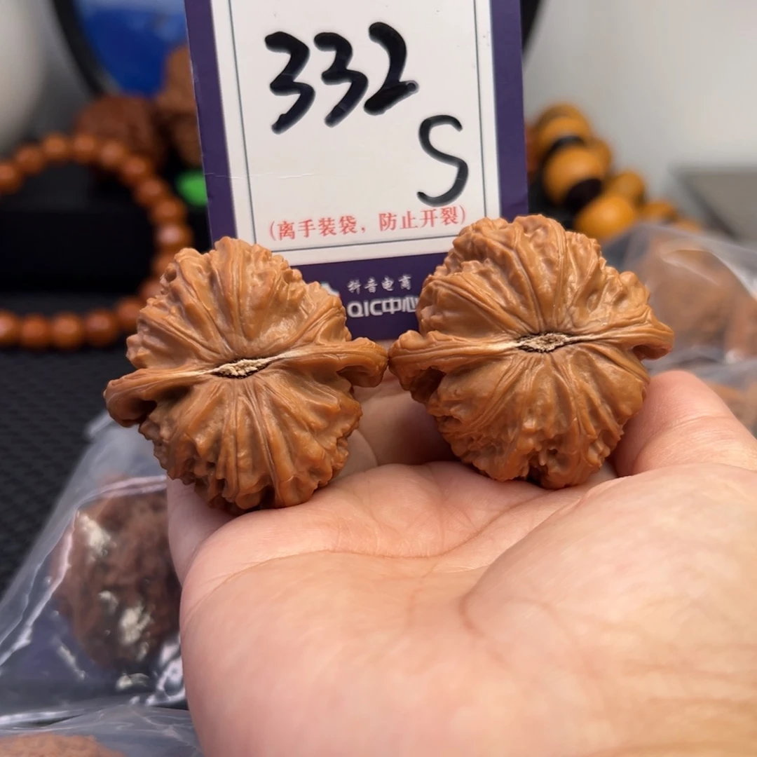 把件桃核332号白狮子44