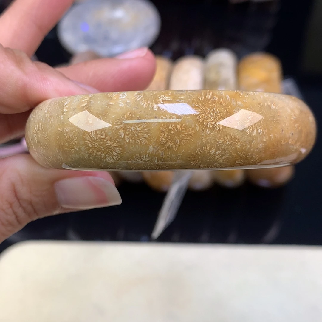 【闪购商品】颈饰未镶嵌硅化珊瑚（珊瑚玉）精美手镯55.3（8号）