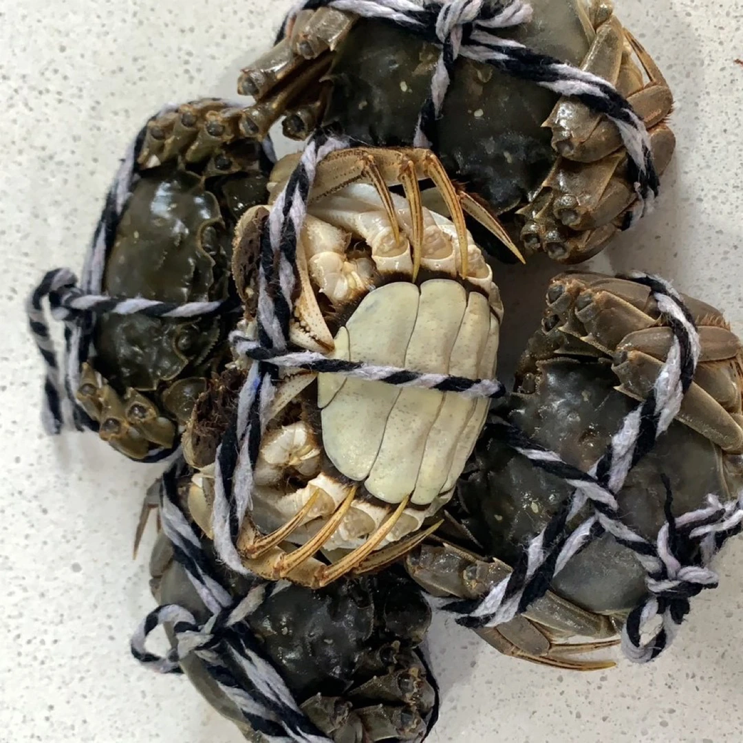 【活蟹】江苏兴化全活大闸蟹母2两5只装