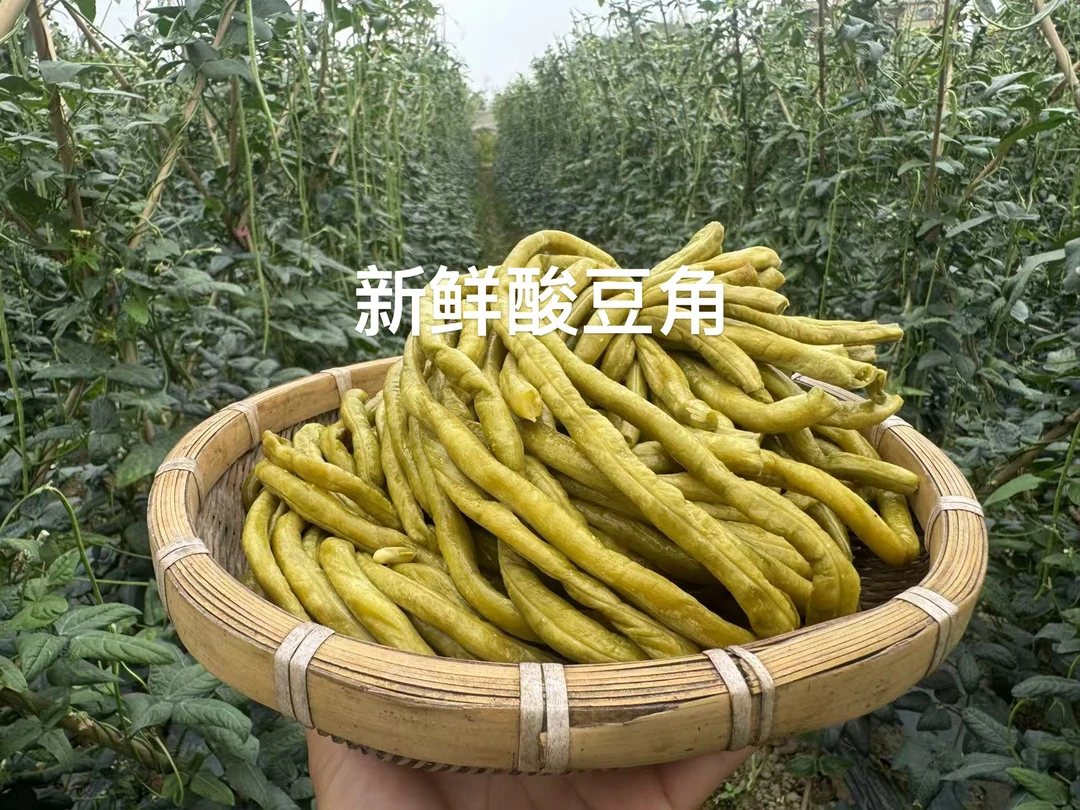 广西农家自制新鲜酸豆角2斤包邮