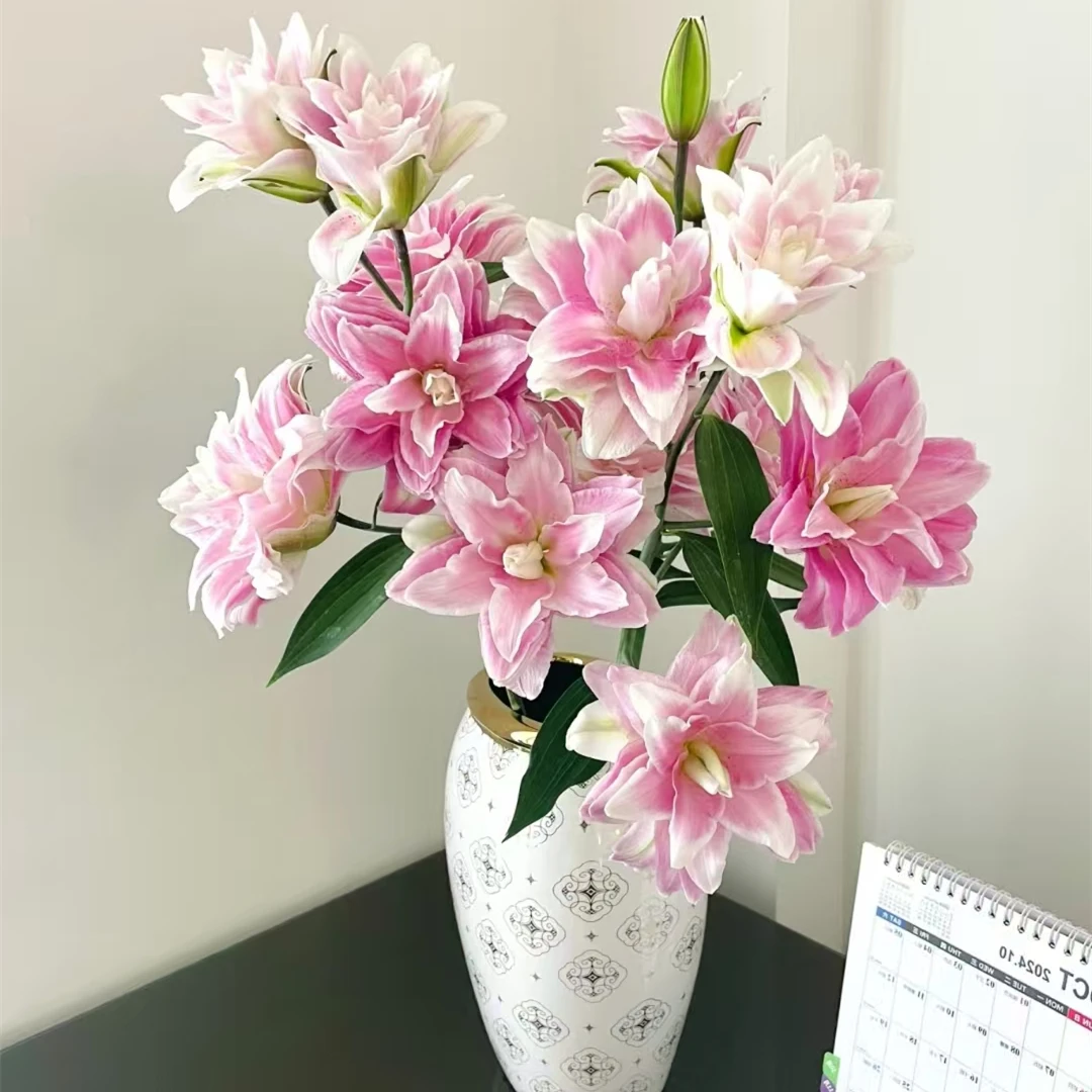 莲花之境【粉色系重瓣百合】任意两单花材发德邦空运
