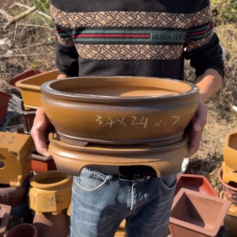 花盆紫砂特价包邮送