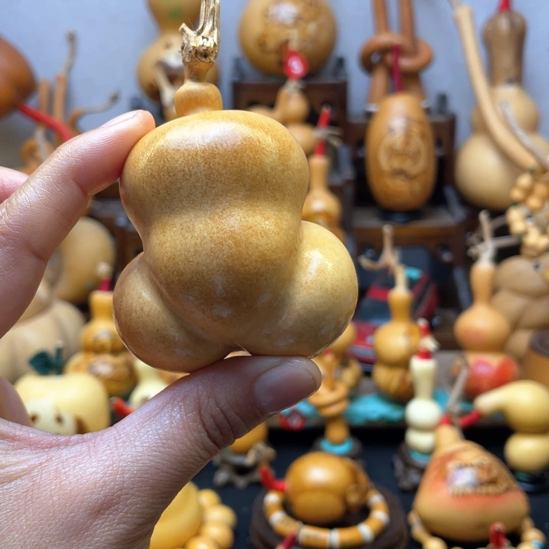 午***┑大自然的秘密第十一节的故事