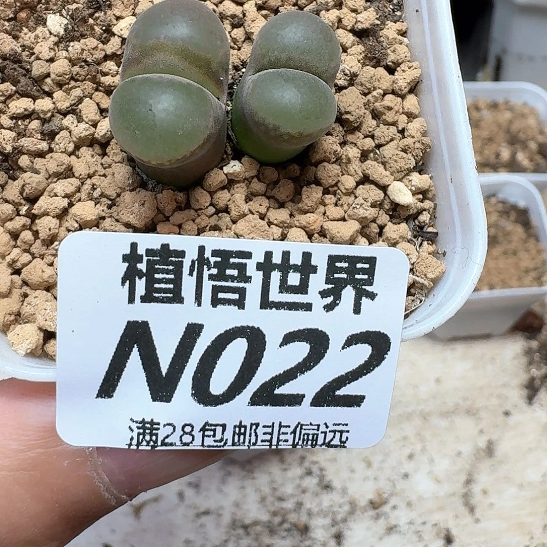 的润泽县大队发发g