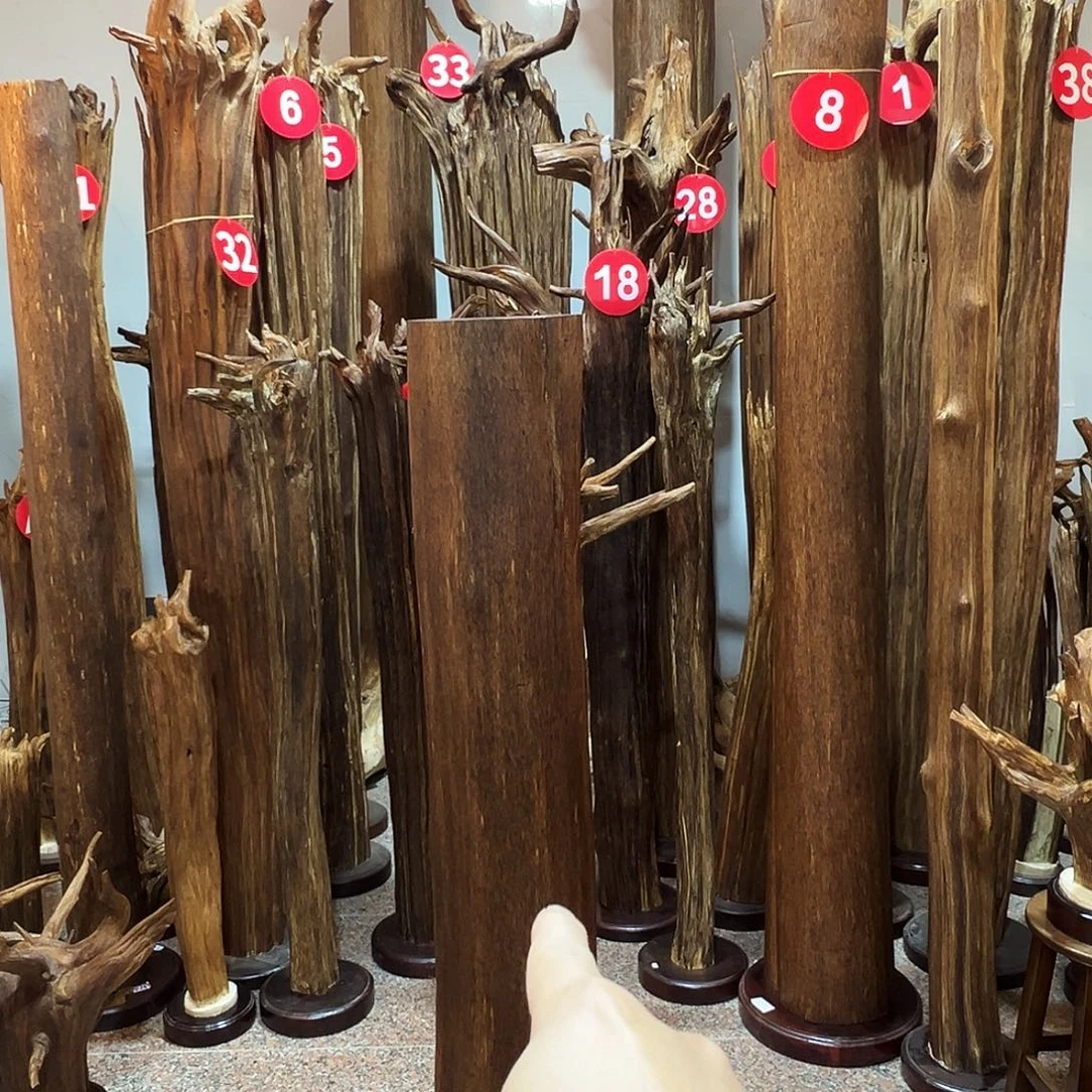 东***红沉香摆件沉香原料