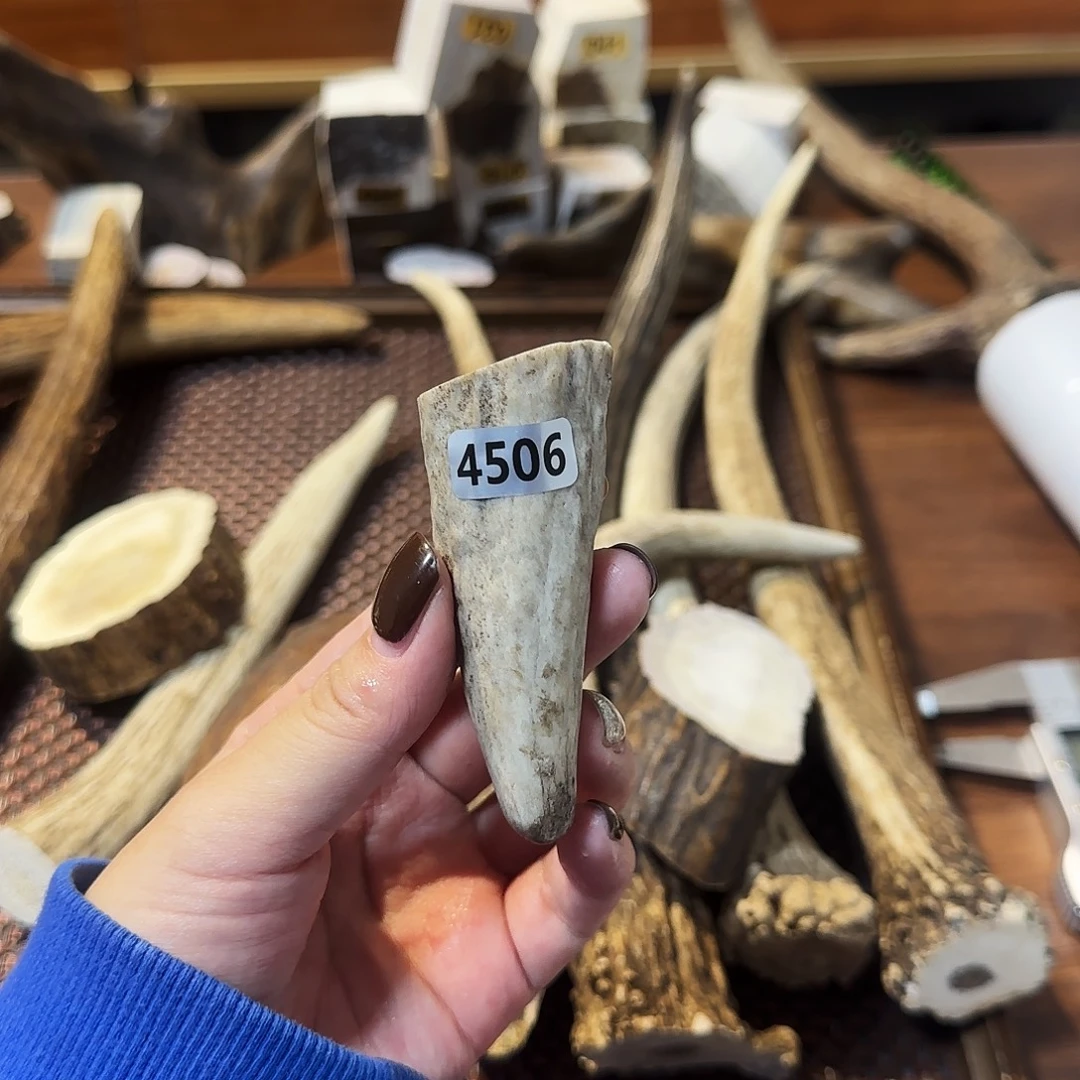 鹿骨手串/手链4506尖