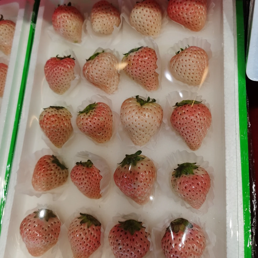 【鲜果】丹东粉玉草莓600克一盒