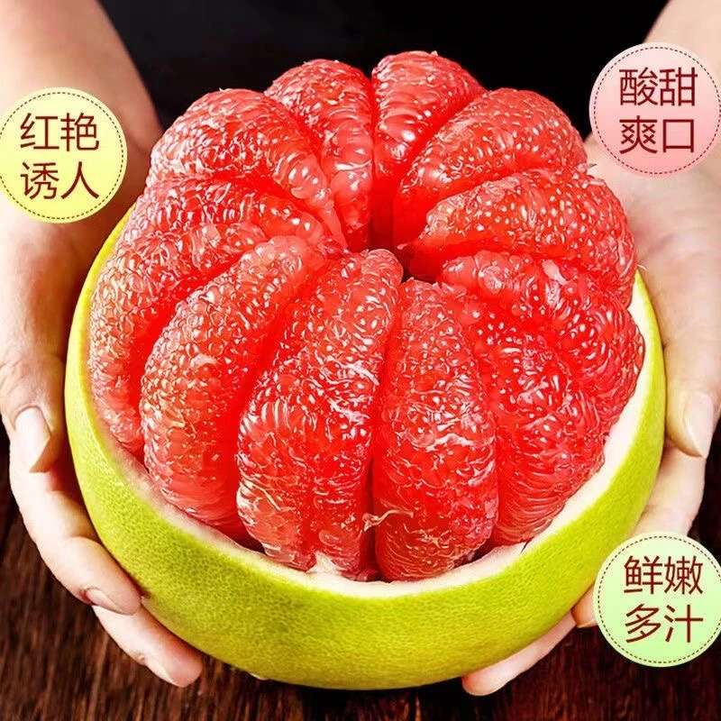 福建平和红心蜜柚头茬现摘皮薄肉厚鲜嫩多汁当季水果