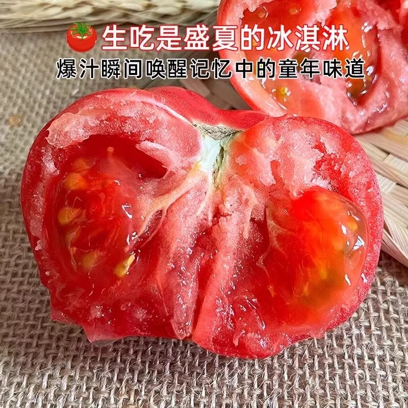 山东新鲜现摘普罗旺斯西红柿沙瓤西红柿现摘现发4.5斤包邮
