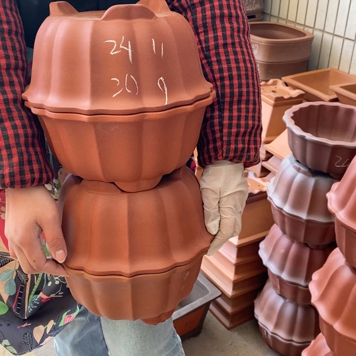 紫砂花盆只顾看手机