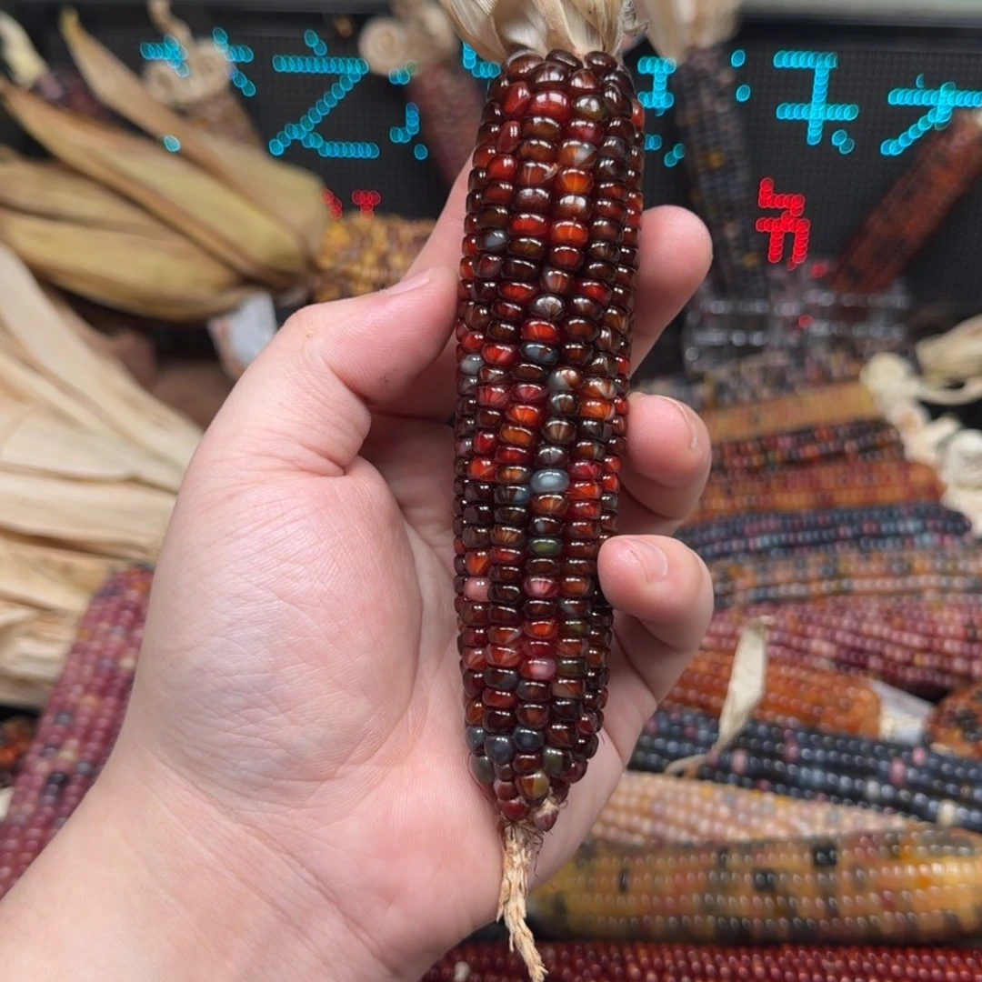 柏香籽/百香籽吊坠越