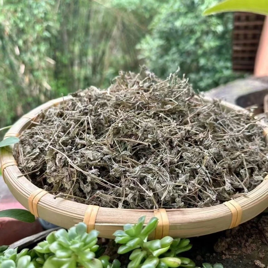 广西藤茶叶高山野藤茶瑶山新莓茶