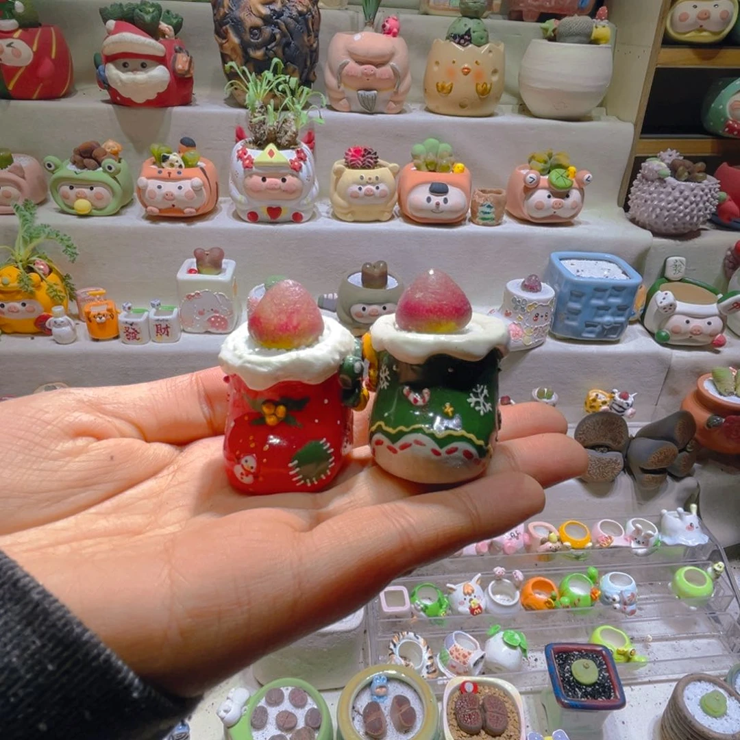 炭*炭炭宝贝专属链接拍拍