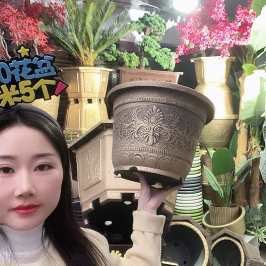 复合凤纹35花盆8个有孔