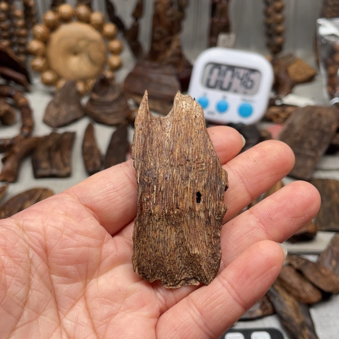 沉香沉香碎屑加里曼丹