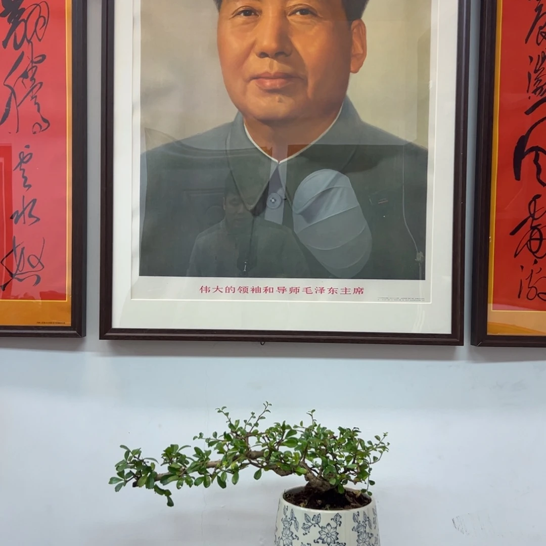 小***B79年对开毛爷爷标准像