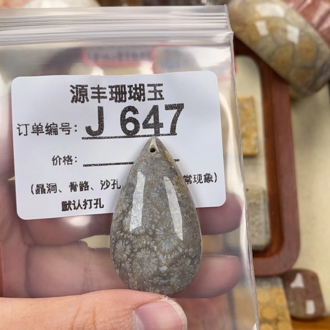 硅化玉颈饰未镶嵌O****g