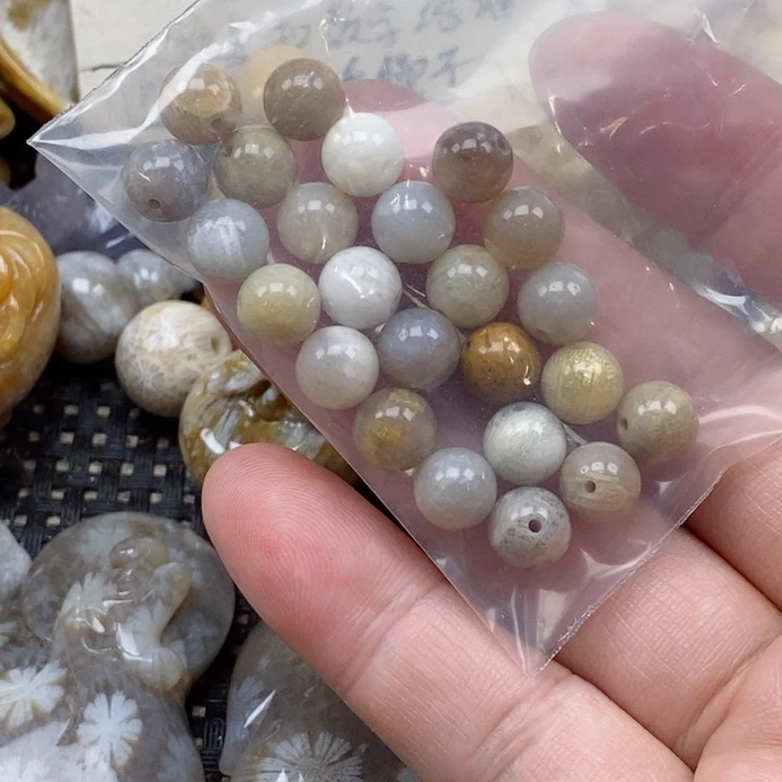 颈饰未镶嵌硅化珊瑚(珊瑚玉)