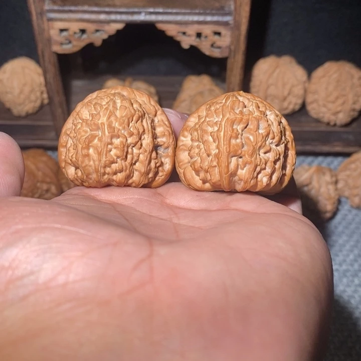 拾***.40白狮子。