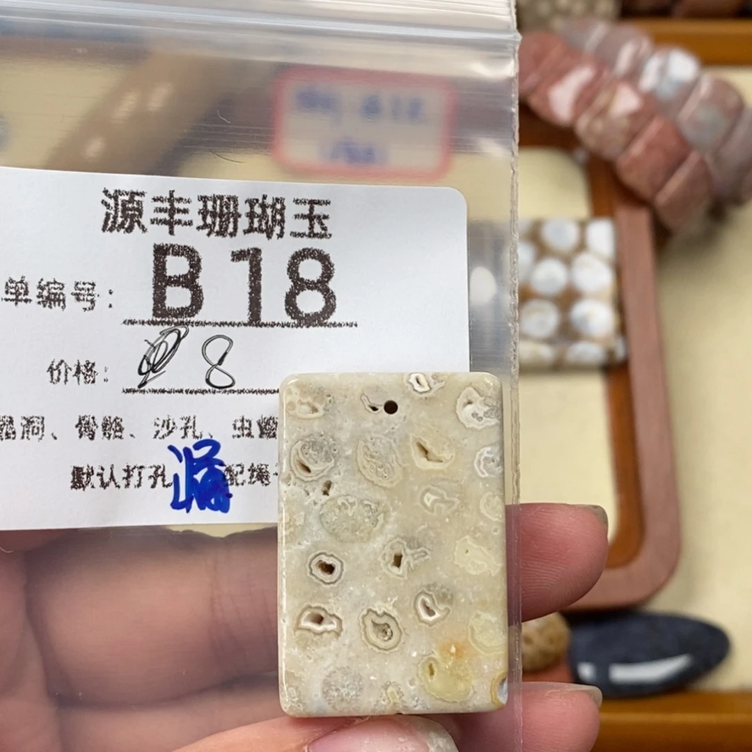 烟***岚硅化玉未镶嵌颈饰